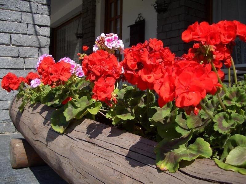 Hotel Sarre Dış mekan fotoğraf